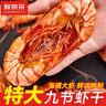 鮮京采 大號九節蝦干 凈重1斤（50-60只） 低溫烘烤 即食 曬單實(shí)拍圖