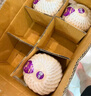 佳沃 JOYVIO泰國進(jìn)口椰青香水椰子 6個(gè)裝 中果800g+ 水果 源頭直發(fā) 中秋禮盒 曬單實(shí)拍圖