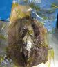 傾海之宴 精選墨魚干 S3 200g 淡曬目魚干烏賊干 海鮮特產(chǎn)海產(chǎn)品干貨 曬單實(shí)拍圖
