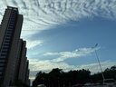 蕉內銀皮308P女士?jì)妊?A抗菌無(wú)痕隱形打底瑜伽運動(dòng)透氣防夾臀三角3件 曬單實(shí)拍圖