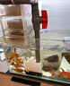 YEE魚(yú)缸潛水泵低音循環(huán)抽水泵底吸泵換水小型過(guò)濾器假山流水泵25w 曬單實(shí)拍圖