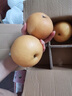 愛(ài)鮮摘農場(chǎng) 山東萊陽(yáng)秋月梨水果禮盒【JD順豐-多地次日達】豐水梨子中秋禮品 【典藏珍品級】8枚裝限定禮盒｜送禮必備 6S果｜單果0.4-0.6斤｜甜偏小 曬單實(shí)拍圖