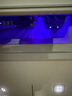 小白熊SnowBear消毒柜嬰兒 奶瓶消毒帶烘干一體機紫外線34顆燈珠負離子25L-2030 曬單實拍圖