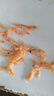磷蝦米 去頭去殼磷蝦米海產(chǎn)品干貨南極磷蝦海米純肉蝦仁源頭直發(fā) 磷蝦米（去頭去殼）500g/袋 曬單實(shí)拍圖
