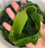 方家鋪子中華老字號 有機頭茬嫩海帶苗 霞浦產(chǎn)地鹽漬火鍋食材 500g*1袋 曬單實(shí)拍圖