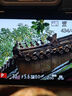 松下（Panasonic）Lumix G100D M43畫(huà)幅相機 M43卡口 微單相機 無(wú)反數碼相機 G100D+【12-60mm白盒】單鏡套裝 曬單實(shí)拍圖
