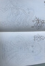 3本《漫畫(huà)基礎教程》全套美少女卡通人物綜合篇素描動(dòng)漫新手初學(xué)零基礎入門(mén)手繪臨摹畫(huà)冊技法書(shū)籍q版日本風(fēng)教材   曬單實(shí)拍圖