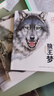 【全5冊】狼王夢(mèng) 沈石溪動(dòng)物小說(shuō)畫(huà)本完整版小學(xué)生四五六年級課外閱讀書(shū)籍兒童文學(xué)經(jīng)典讀物 暑假作業(yè) 一升二暑假銜接 小升初暑假銜接 曬單實(shí)拍圖