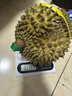 京地達(dá)泰國金枕頭榴蓮 凈重2.5-3.5斤1個(gè)裝整果 生鮮水果源頭直發(fā)包郵 曬單實(shí)拍圖