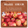 云南高原早熟紅露蘋果新鮮高山當季水果冰糖心脆甜多汁果園直發(fā) 云南脆甜紅露蘋果（中大果100g+） 含箱5斤【多日鮮享】 曬單實拍圖