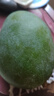 正宗凱特芒果 肉厚甜心芒熱帶當(dāng)季新鮮水果整箱 帶箱2斤單果300g+ 曬單實拍圖