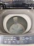 海爾（Haier）波輪洗衣機(jī)小型全自動(dòng)懶人8KG家用【XQB80-Z10D0】家電國家補(bǔ)貼以舊換新一級(jí)能效宿舍出租房單脫水 曬單實(shí)拍圖