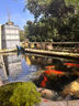 池泉變頻魚(yú)池大流量潛水泵底吸循環(huán)過(guò)濾器水泵池泉變頻揚程泵池泉變頻揚程泵75W 曬單實(shí)拍圖