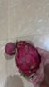 海南紅心火龍果金都一號(hào)裝新鮮采摘現(xiàn)摘現(xiàn)發(fā) 單果200g-300g（2個(gè)裝） 曬單實(shí)拍圖