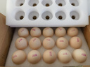 信得幸福農場(chǎng)可生食雞蛋富硒葉黃素生吃不腥可日料溏心蛋新鮮商用禮盒 60枚 3.6kg 營(yíng)養橙心 60g±5g/枚 曬單實(shí)拍圖