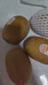 佳沛（zespri）新西蘭  陽光金奇異果10粒禮盒巨大果單果約144-175g 水果 獼猴桃 曬單實拍圖