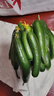 壽光水果黃瓜山東時(shí)令果蔬小青瓜蔬菜火鍋食材清脆爽口產(chǎn)地直發(fā) 水果黃瓜帶箱2斤【解饞】 曬單實(shí)拍圖