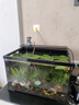 創(chuàng  )寧魚(yú)缸氧氣泵 養魚(yú)氣泵 水族箱增氧泵 打氧加氧泵 增氧機充氧泵 氧氣管2米 曬單實(shí)拍圖