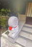 君閔石雕門(mén)墩抱鼓石一對天然漢白玉大象石鼓青石仿古門(mén)當門(mén)口招財擺件 漢白玉花開(kāi)富貴款高60cm一對 曬單實(shí)拍圖