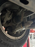 固特異（Goodyear）汽車(chē)輪胎 195/65R15 91V EF1 SPORT鷹馳F1酷跑 卡羅拉/朗逸/寶來(lái) 曬單實(shí)拍圖