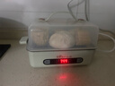 小熊（Bear）煮蛋器 蒸蛋器 智能電蒸鍋小型2-3人用自動(dòng)斷電 家用多功能早餐機煮雞蛋神器ZDQ-B06N3  曬單實(shí)拍圖
