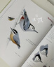 【當當】中國鳥類觀察手冊 鳥類圖鑒百科全書鳥手冊書共1491個有記錄鳥種 鳥類行為動物科普 當當專享贈送超寫實大師級裝幀畫（鴛鴦！雕鸮！獵隼！雙角犀鳥?。?何以為鳥 曬單實拍圖