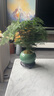 文竹盆栽植物室內花卉盆景客廳辦公室桌面小綠植好養云竹四季常青 精品文竹+冰釉淺綠盆+圓底托+苔蘚 曬單實(shí)拍圖