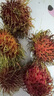 優(yōu)味集進口紅毛丹【JD順豐速發(fā)】越南毛荔枝甜紅牡丹新鮮水果整箱送禮 900g凈重裝（顆顆精選） 商超級金果 曬單實拍圖