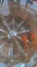 精品金魚(yú)觀(guān)賞魚(yú)養不死自來(lái)水鴻運當頭好養耐活魚(yú)冷水淡水魚(yú)風(fēng)水魚(yú) 精品金魚(yú)組合顏色隨機 5-7厘米3條 曬單實(shí)拍圖