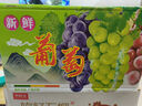 京鮮生國產(chǎn)陽(yáng)光玫瑰凈重3斤單果10-12g 葡萄/提子生鮮水果 源頭直發(fā)包郵 曬單實(shí)拍圖