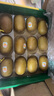 佳沛（zespri）新西蘭 陽光金果12粒單果約122-146g 獼猴桃 中秋水果禮盒 曬單實拍圖