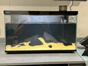 當貝智能生態(tài)魚(yú)缸1Ultra 一體缸自循環(huán)雙過(guò)濾AI托養懶人家用桌面魚(yú)缸 曬單實(shí)拍圖