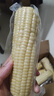 京鮮生東北白糯玉米250g*10棒 新鮮甜糯玉米棒真空包裝粘玉米 源頭直發(fā) 曬單實拍圖