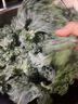 羽衣甘藍(lán)新鮮生鮮蔬菜嫩葉甘蘭芥藍(lán)西餐沙拉榨汁減肥減脂 羽衣甘藍(lán)減脂嘗鮮裝1斤 曬單實(shí)拍圖