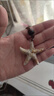 初逅項鏈長(cháng)款吊墜海星女飾品掛脖飾品海邊配飾項鏈掛墜百搭小眾ins 【海星項鏈】 曬單實(shí)拍圖