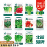 北蔬 蔬菜種子種苗蘿卜白菜香菜生菜蔥菠菜秋種菜籽 11種蔬菜種子套餐 曬單實(shí)拍圖