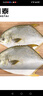 翔泰海南深海金鯧魚(yú)700g 2條 火鍋 生鮮魚(yú)類(lèi) BAP認證 海鮮水產(chǎn) 中秋 曬單實(shí)拍圖