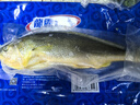 GUO LIAN國聯(lián)三去黃花魚(yú)2條共凈重2斤國產(chǎn)寧德東海大黃魚(yú)中秋聚餐海鮮食材 曬單實(shí)拍圖