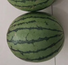 農果傳橙正宗龐各莊西瓜 北京大興牛奶冰糖吊瓜迷你小西瓜薄皮端午節送禮 2顆裝【甄選品質(zhì) 總凈重5-6斤】 曬單實(shí)拍圖