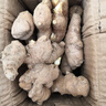 云南小黃姜新鮮生姜子生鮮姜月子姜超市蔬菜調(diào)料姜 凈重500g 曬單實(shí)拍圖