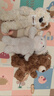 名創(chuàng  )優(yōu)品（MINISO）吉梨尼尼乖乖坐姿公仔毛絨玩具玩偶娃娃抱枕小狗娃娃生日禮物女 曬單實(shí)拍圖