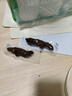 京東京造 手撕風(fēng)干牛肉干500g 約6成風(fēng)干內蒙特產(chǎn)量販裝休閑減脂 口感稍軟 曬單實(shí)拍圖