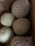 玉菇甜瓜蜜瓜新鮮水果批發(fā)冰激凌甜瓜軟糯甜瓜 9斤 曬單實(shí)拍圖