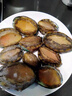 軒農谷鮮活大鮑魚(yú)特大新鮮海鮮水產(chǎn)鮮鮑魚(yú)冰鮮小鮑魚(yú)【11-12頭】鮮活鮑魚(yú)1斤 曬單實(shí)拍圖