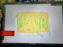 XPPen繪畫(huà)平板電腦 專(zhuān)業(yè)畫(huà)畫(huà)數位屏手繪屏數位板手繪板手寫(xiě)板寫(xiě)字板電子畫(huà)板繪畫(huà)板Magic Drawing Pad 【移動(dòng)繪畫(huà)專(zhuān)用】無(wú)需連接電腦手機 曬單實(shí)拍圖