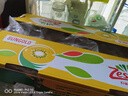 佳沛（zespri）新西蘭  陽光金果25-27粒原箱單果122-146g  中秋水果禮盒 獼猴桃 曬單實拍圖