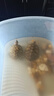 龜真壽蝦蟲(chóng)魚(yú)三合一龜飼料135g 淡水蝦干小魚(yú)干面包蟲(chóng)干龜零食 曬單實(shí)拍圖