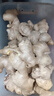 【產(chǎn)地直發(fā)】山東大姜生姜干姜老姜農(nóng)家自種 新鮮蔬菜 精選大姜 3斤 曬單實(shí)拍圖