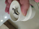 小熊（Bear）榨汁杯便攜式榨汁機(jī)小型水杯一體果汁機(jī)家用果蔬機(jī)榨果蔬水果橙汁料理機(jī)一機(jī)多用大電池教師節(jié)禮物 【安心材質(zhì)】LLJ-T03H1單蓋 升級(jí)六葉刀 曬單實(shí)拍圖