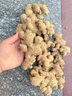 京鮮生云南羅平小黃姜帶泥姜新鮮蔬菜生姜特惠1.8斤源頭直發(fā) 曬單實(shí)拍圖